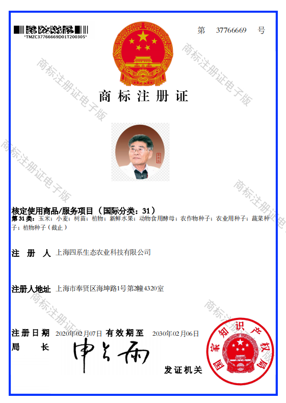 zhusihaozhengshu.jpg