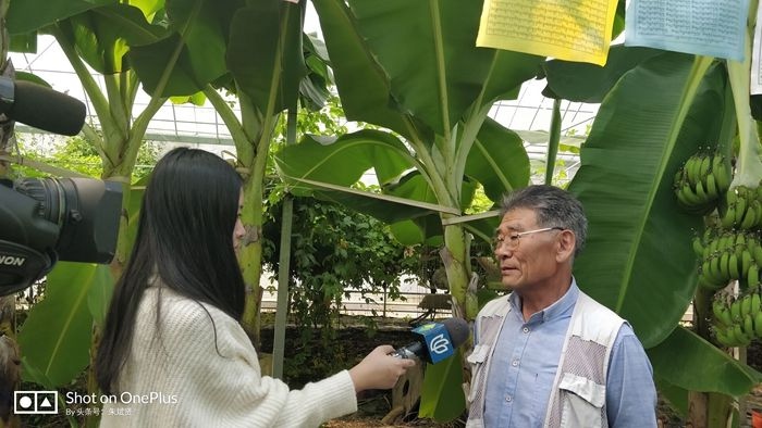 金山电视台专访生态农业专家朱思浩